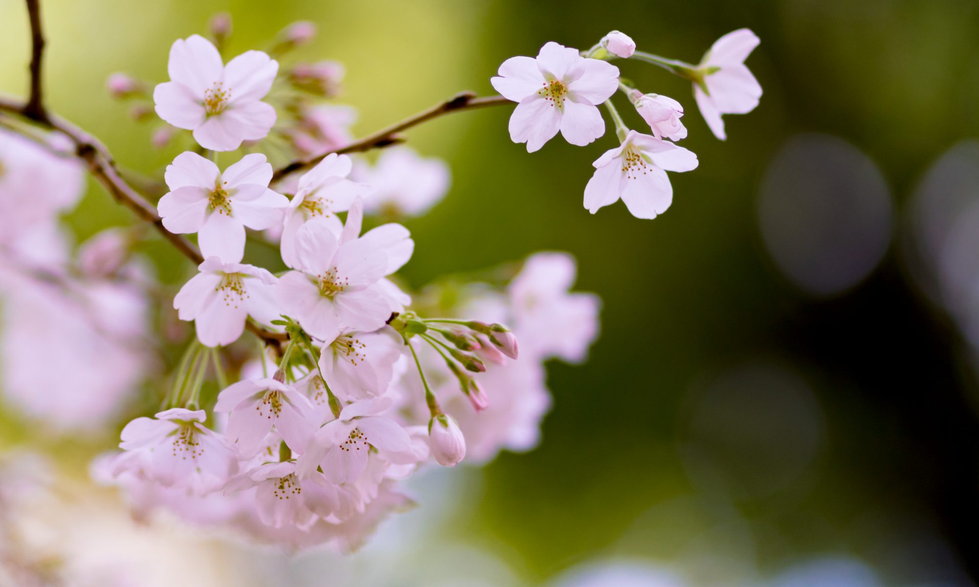 TRメディアサービス